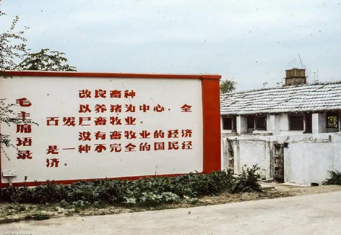 文化大革命时社会照片