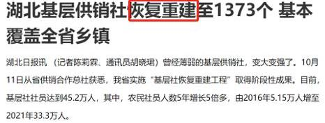 湖北基层供销社恢复1373个