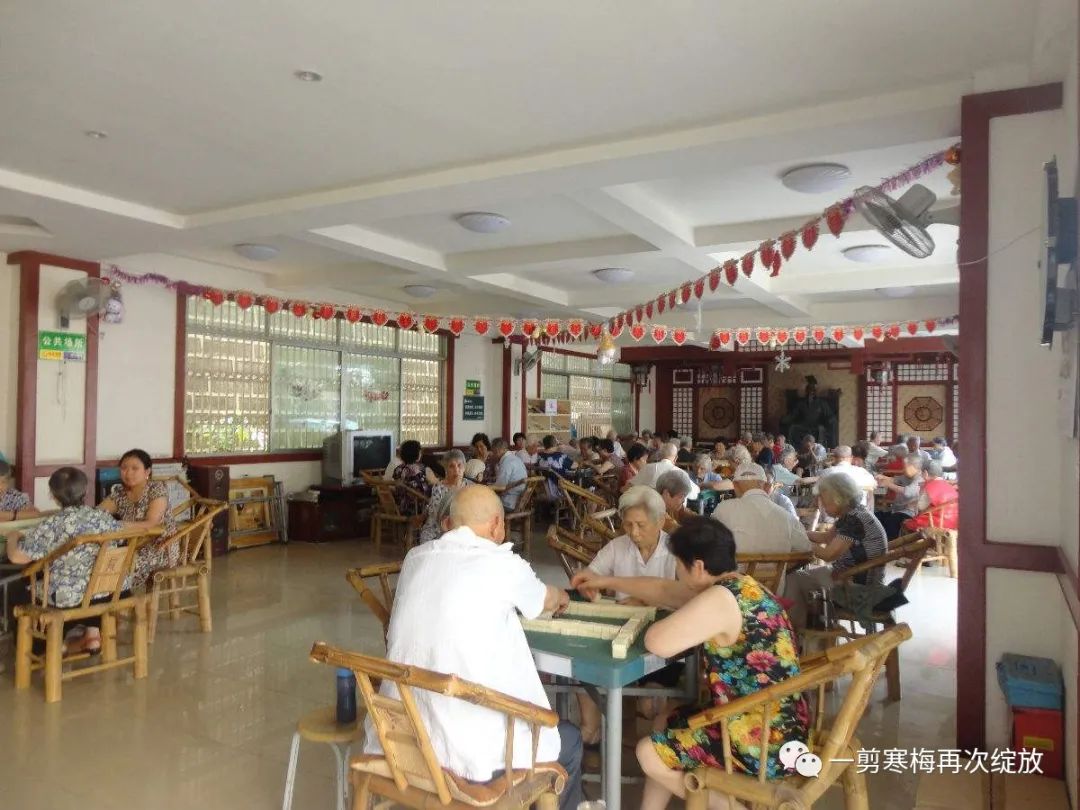 不生孩子指望养老院，其实就是让别人吃绝户