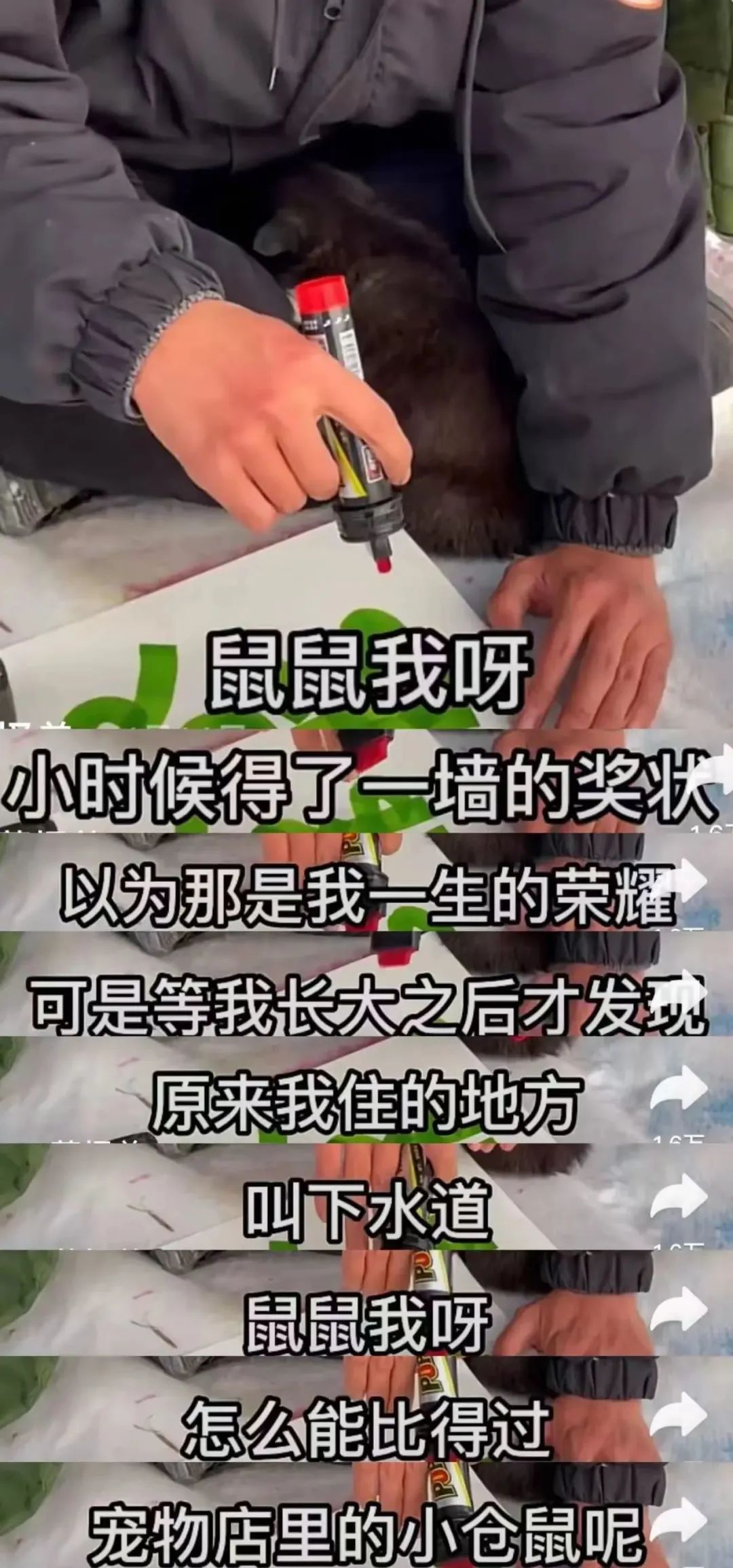 张家界约死事件16天后，四川2男1女服毒身亡