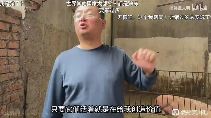 能把最听话的猪养绝种，也是一种本事