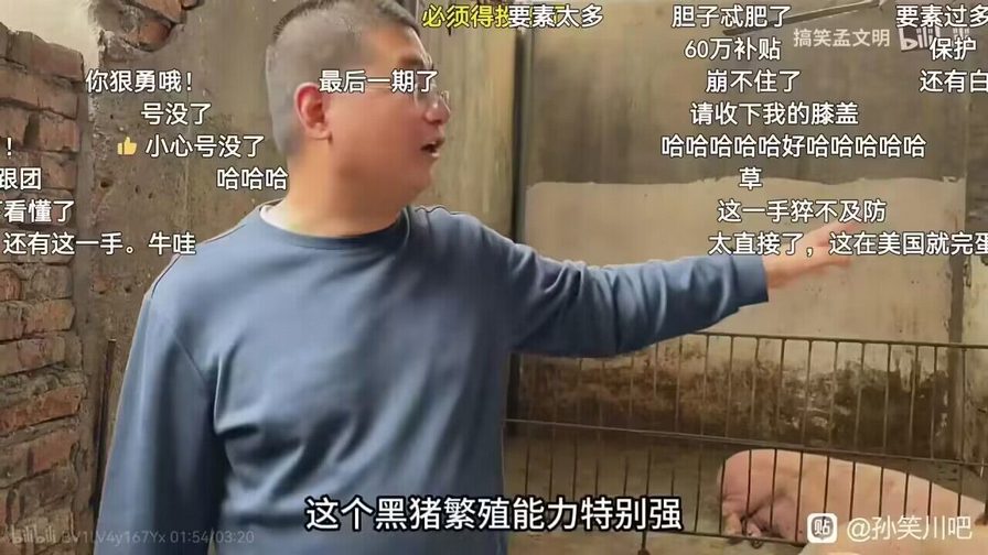 能把最听话的猪养绝种，也是一种本事