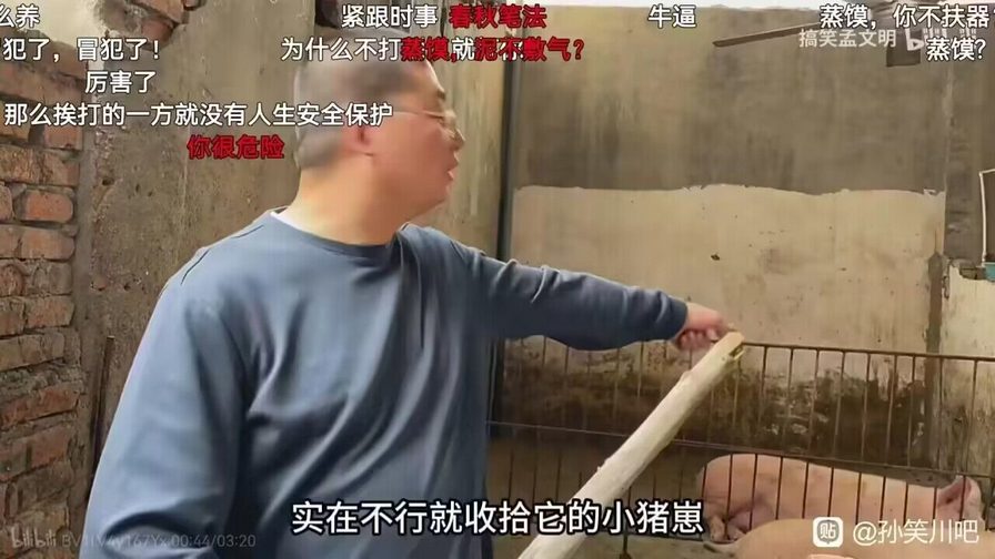 能把最听话的猪养绝种，也是一种本事