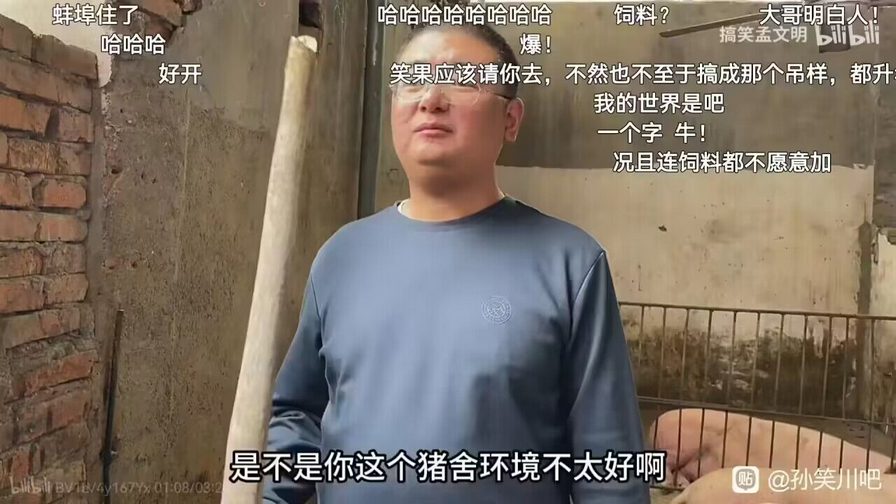 能把最听话的猪养绝种，也是一种本事