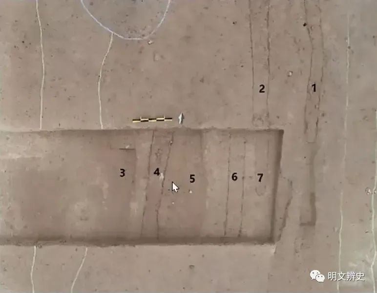 双槐树遗址发现了疑似车辙的痕迹