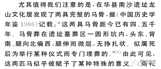 双槐树遗址发现了疑似车辙的痕迹