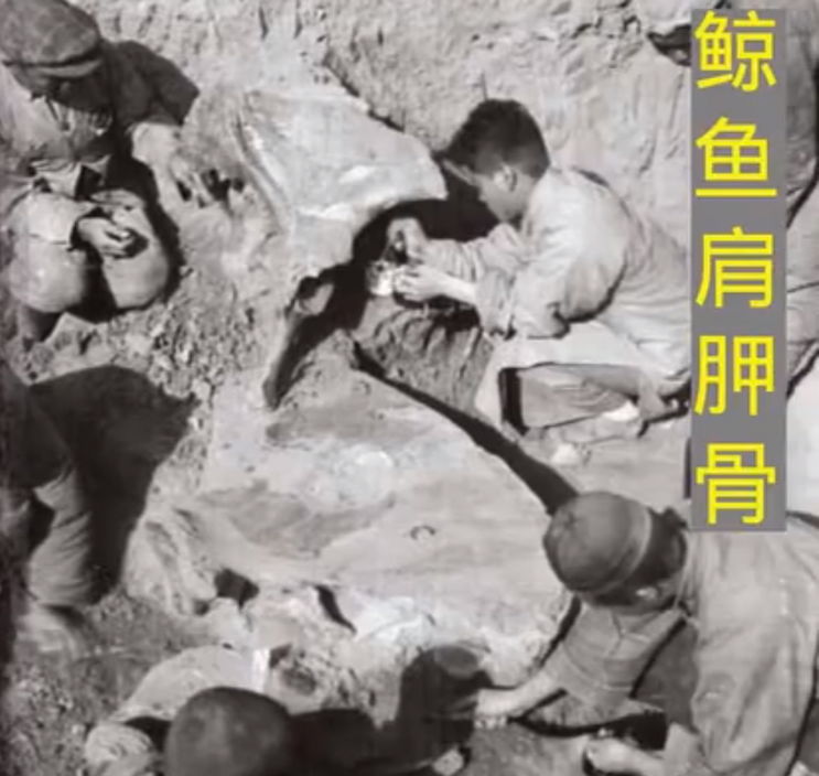 你学的历史可能是错的，史纪是瞎编的，竹书纪年