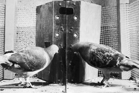 你学的历史可能是错的，史纪是瞎编的，竹书纪年