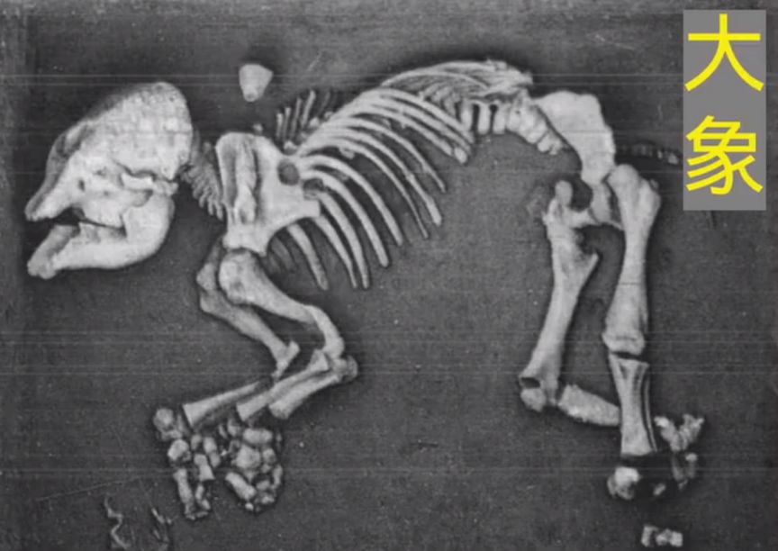 你学的历史可能是错的，史纪是瞎编的，竹书纪年