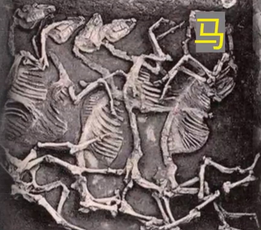 你学的历史可能是错的，史纪是瞎编的，竹书纪年